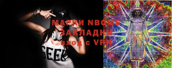 бошки Алексин