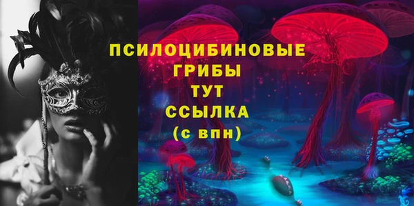 бошки Алексин