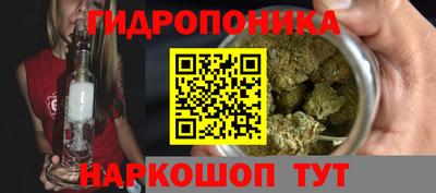 кокс Кандалакша