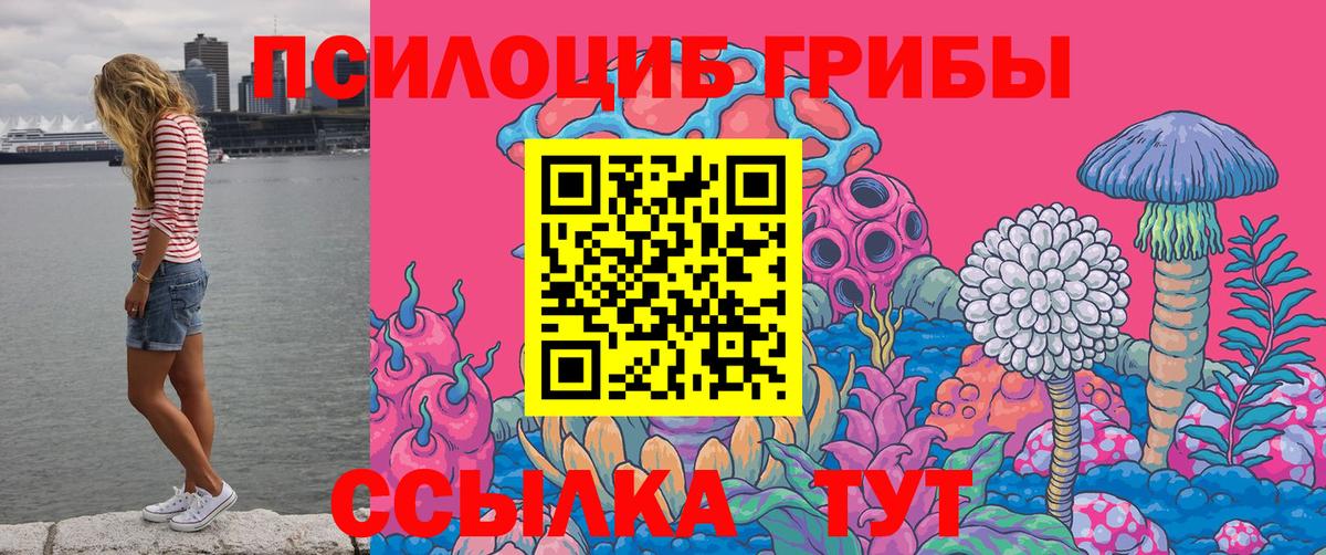 Псилоцибиновые грибы GOLDEN TEACHER Урай